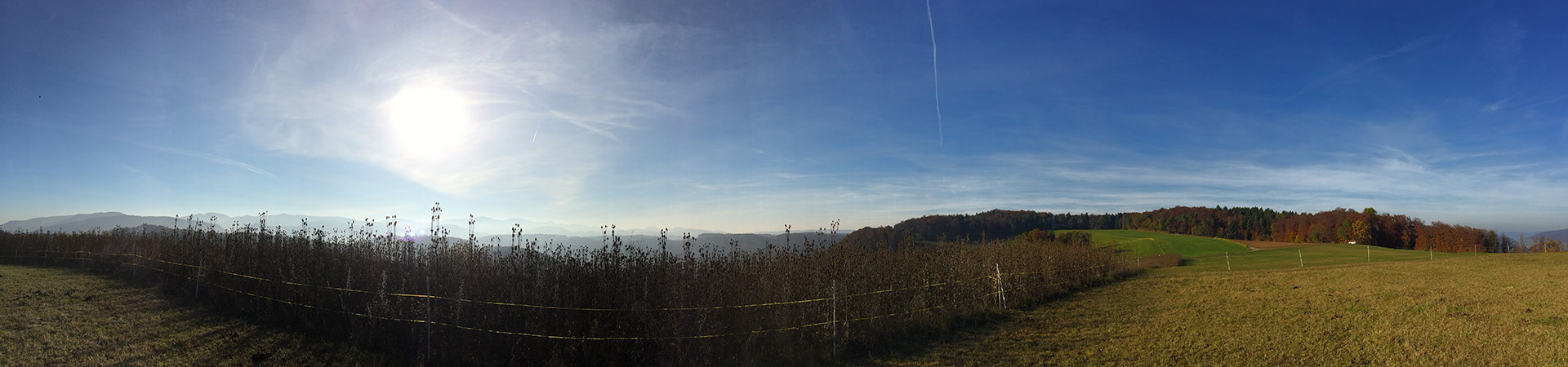 Gemeinde Tenniken