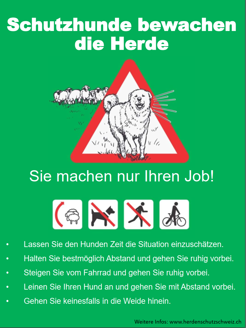 Info Herdenschutzhunde