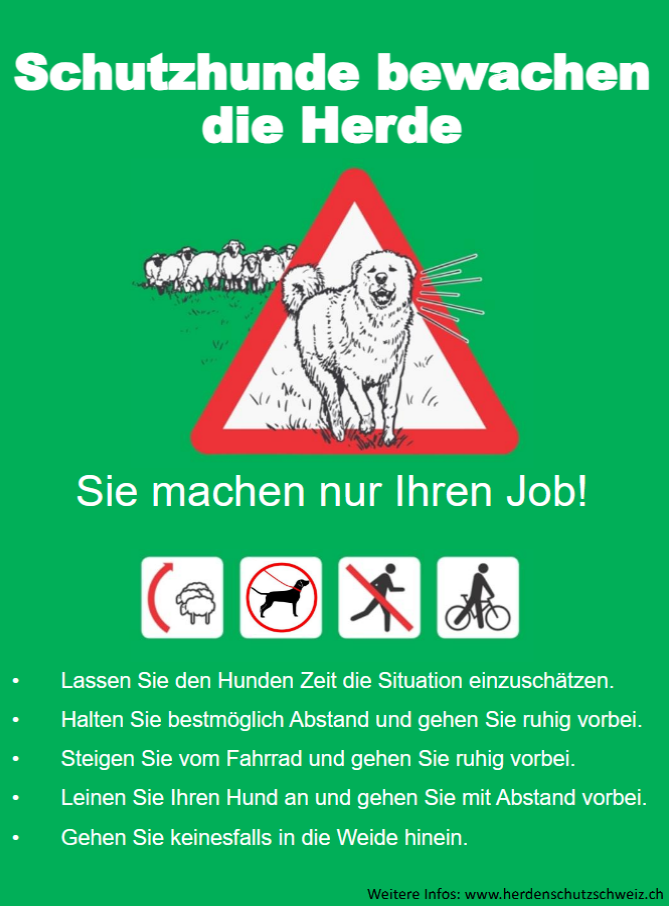Plakat Herdenschutzhunde